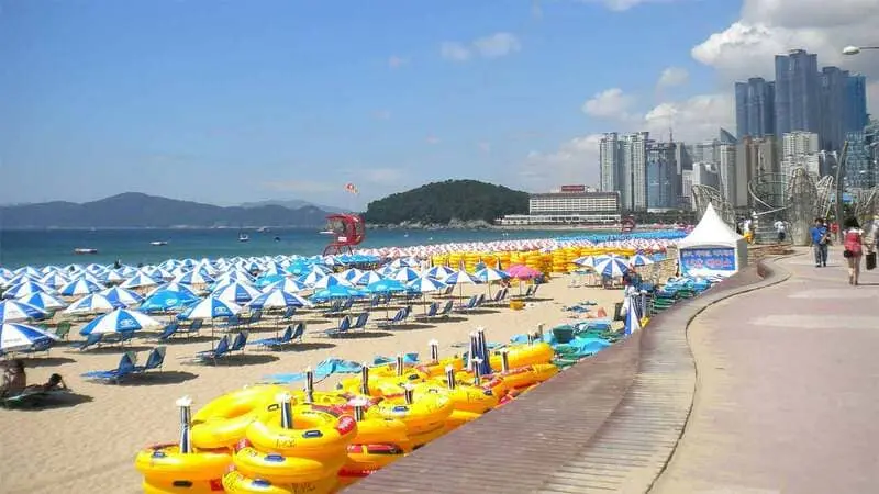 Changwon thành phố thấm đẫm hơi thở nghệ thuật tại Hàn Quốc 3