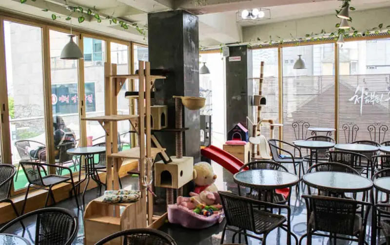 Check in thi&ecirc;n đường giải tr&iacute; Hongdae n&aacute;o nhiệt tại H&agrave;n Quốc 8