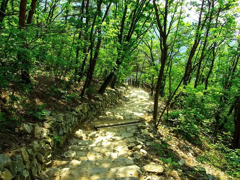 C&oacute; một Daegu hiện đại thấm đẫm hơi thở lịch sử văn h&oacute;a H&agrave;n Quốc 11