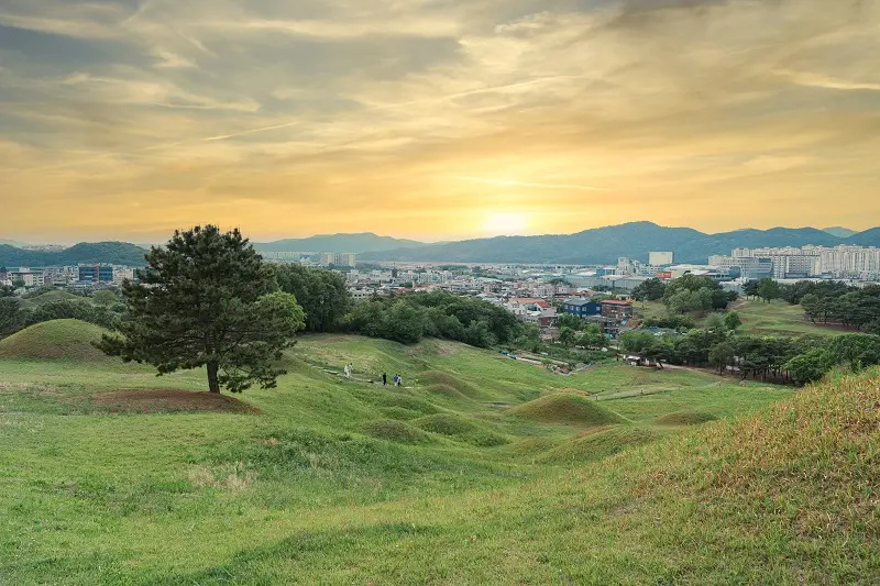 C&oacute; một Daegu hiện đại thấm đẫm hơi thở lịch sử văn h&oacute;a H&agrave;n Quốc 8