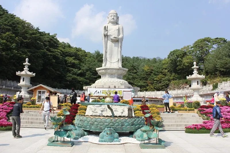 C&oacute; một Daegu hiện đại thấm đẫm hơi thở lịch sử văn h&oacute;a H&agrave;n Quốc 6
