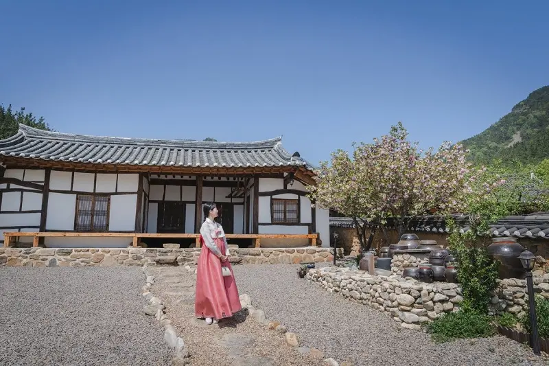 C&oacute; một Daegu hiện đại thấm đẫm hơi thở lịch sử văn h&oacute;a H&agrave;n Quốc 13