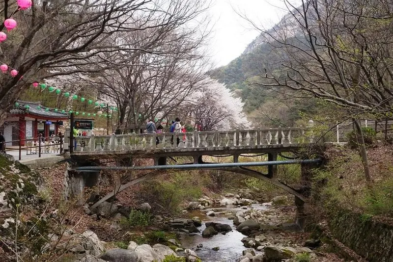 Du lịch Gongju: Cố đ&ocirc; vương triều Baekje với di sản ngh&igrave;n năm 9