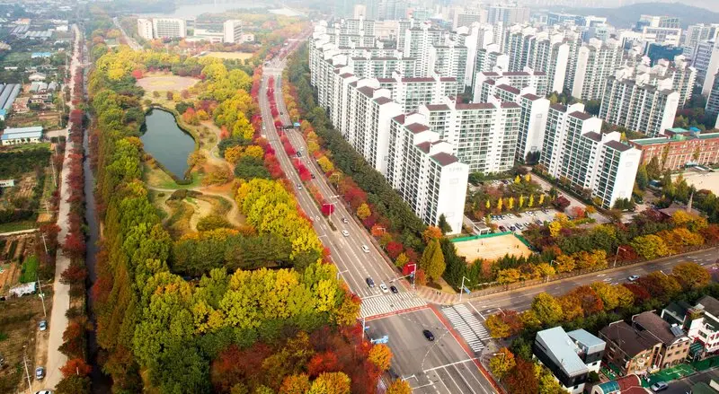 Du lịch Ilsan: T&igrave;m về kh&ocirc;ng gian l&atilde;ng mạn của thảm xanh y&ecirc;n b&igrave;nh 3