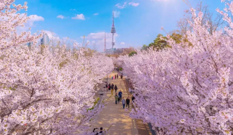 Du lịch Seoul Tết v&agrave; những trải nghiệm cực kỳ l&yacute; th&uacute; 4
