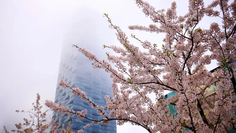 Du lịch Songdo H&agrave;n Quốc, th&agrave;nh phố th&ocirc;ng minh đầu ti&ecirc;n tr&ecirc;n thế giới 4