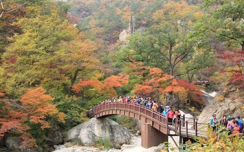 Gangwon H&agrave;n Quốc: Những trải nghiệm nhất định phải thử 5