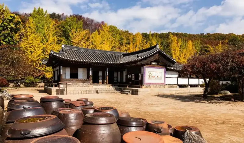 H&agrave;nh tr&igrave;nh tham quan th&agrave;nh phố Yongin H&agrave;n Quốc c&oacute; g&igrave; đặc sắc 5