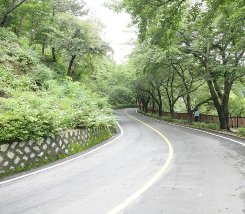 Lạc bước v&agrave;o Jinhae, thi&ecirc;n đường hoa anh đ&agrave;o đẹp nhất H&agrave;n Quốc 8