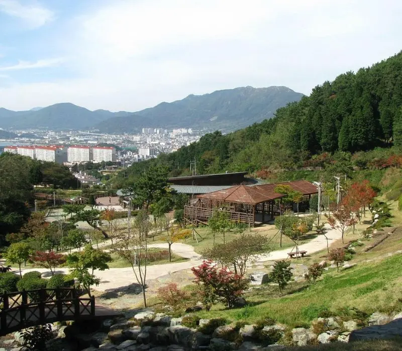 Lạc bước v&agrave;o Jinhae, thi&ecirc;n đường hoa anh đ&agrave;o đẹp nhất H&agrave;n Quốc 9