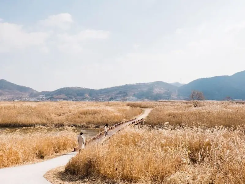Th&agrave;nh phố Suncheon: Kh&aacute;m ph&aacute; những ng&agrave;y xưa cũ tại v&ugrave;ng đất y&ecirc;n b&igrave;nh 4