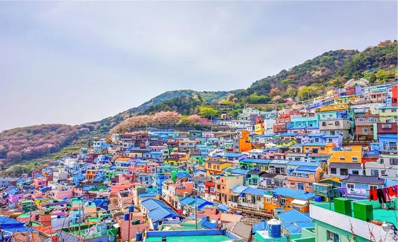 Vẻ đẹp đa sắc m&agrave;u của l&agrave;ng văn h&oacute;a Gamcheon tr&ecirc;n từng bước ch&acirc;n 4