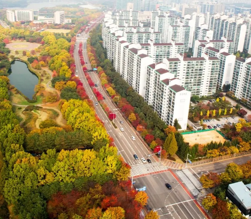 Du lịch Ilsan: Tìm về không gian lãng mạn của thảm xanh yên bình