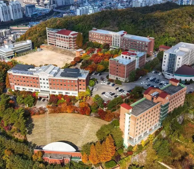 Hành trình tham quan thành phố Yongin Hàn Quốc có gì đặc sắc