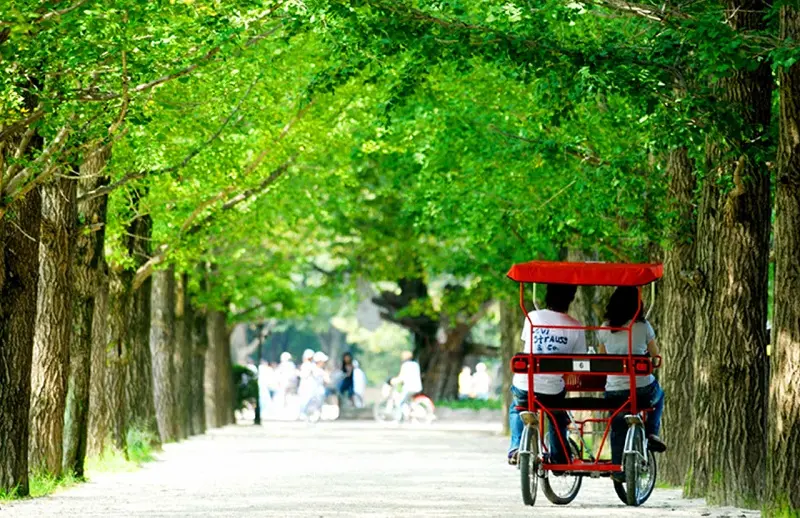 Lịch tr&igrave;nh du lịch H&agrave;n Quốc 4 ng&agrave;y 3 đ&ecirc;m kh&aacute;m ph&aacute; Seoul trọn vẹn 3