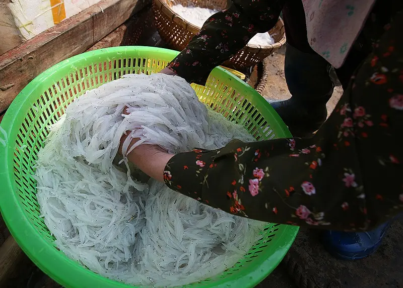 Cá ngần sông Đà không phải mùa nào cũng có ở Hòa Bình 3