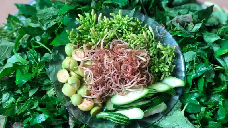 Top 13 đặc sản H&ograve;a B&igrave;nh ăn ngon v&agrave; c&oacute; thể mua về l&agrave;m qu&agrave; 8