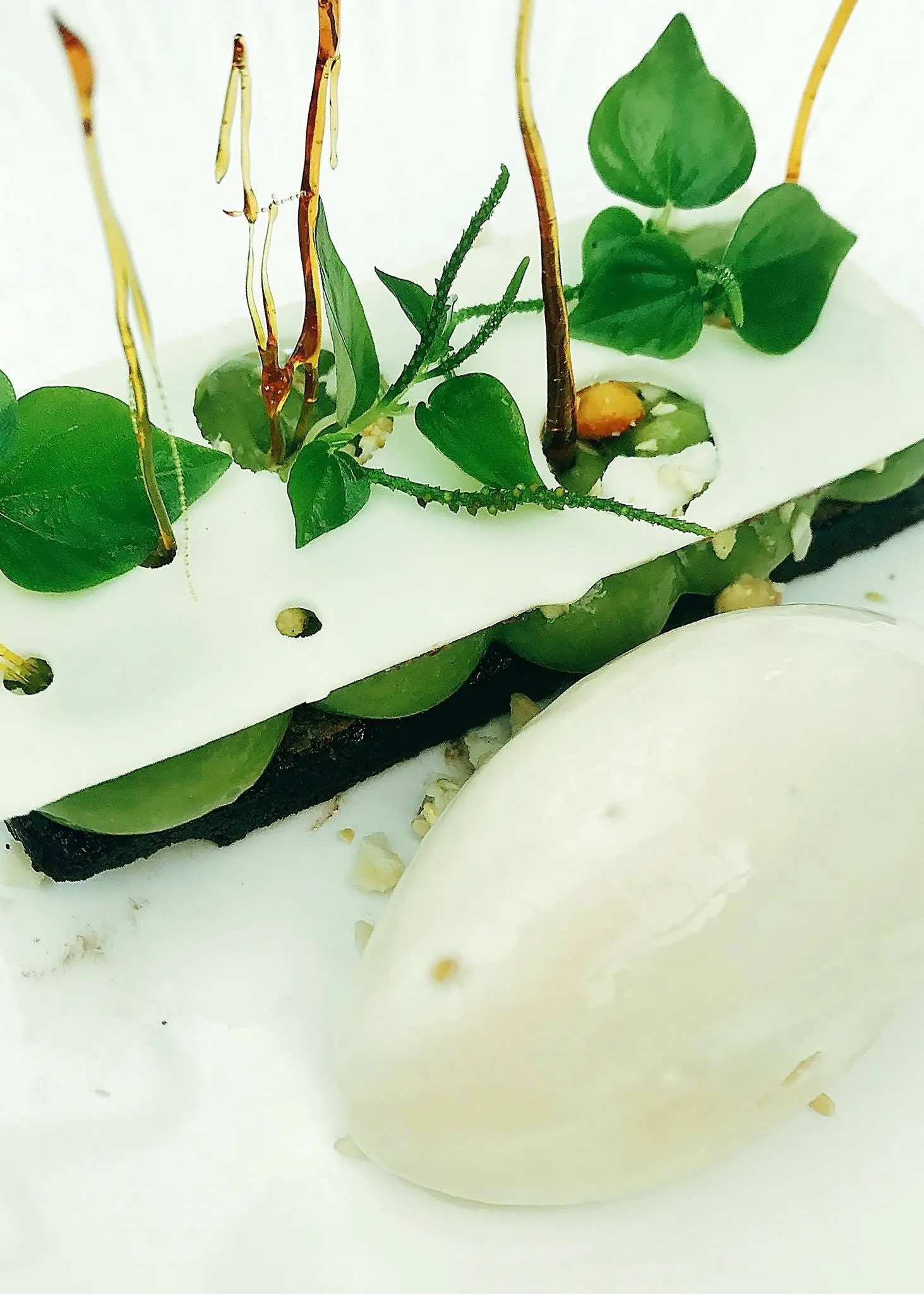 Aubergine49 restaurant Hoi An - Ẩm thực được tạo n&ecirc;n với niềm đam m&ecirc; từ sự ho&agrave;n hảo 9