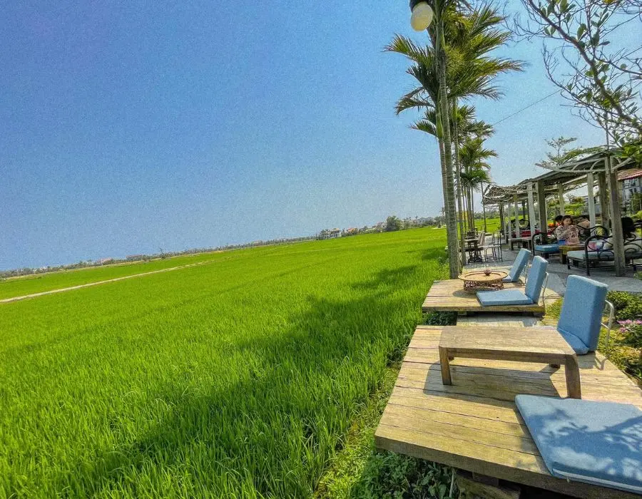 Cập nhật c&aacute;c tiệm cafe view đồng l&uacute;a Hội An cực chất 2
