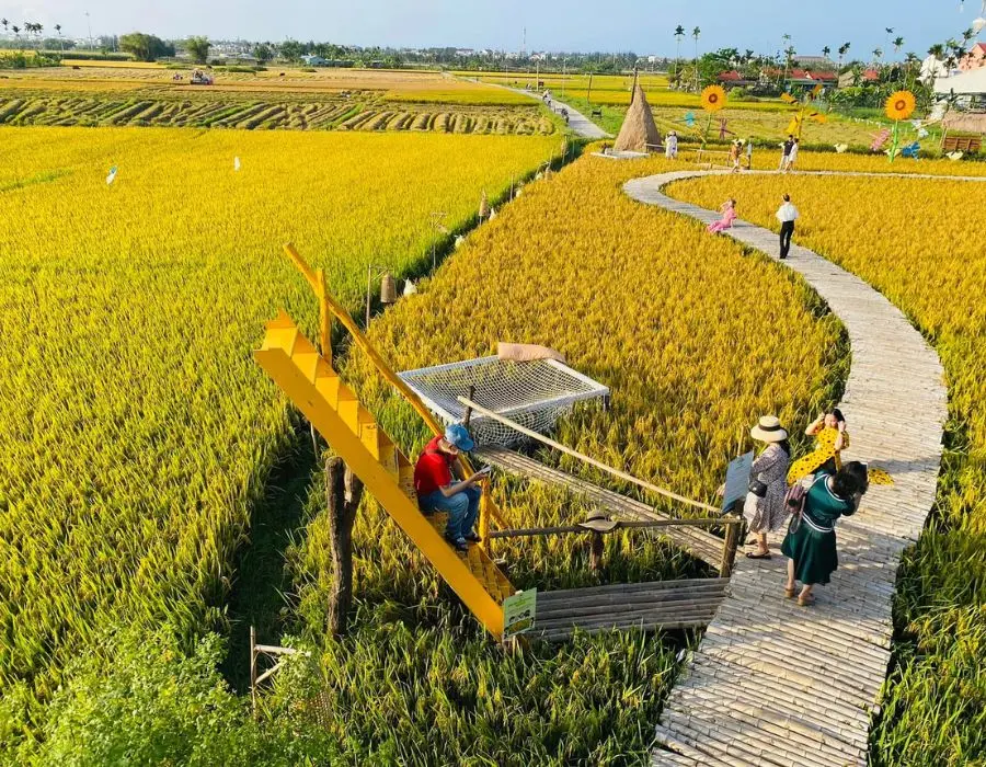 Cập nhật c&aacute;c tiệm cafe view đồng l&uacute;a Hội An cực chất 3
