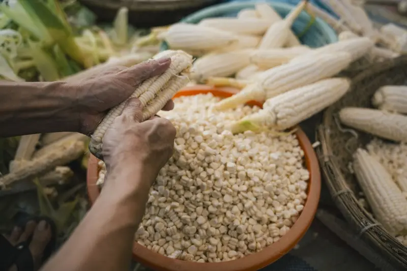 Đặc sản Chè bắp Hội An dân dã chạm đến trái tim người lữ khách 4