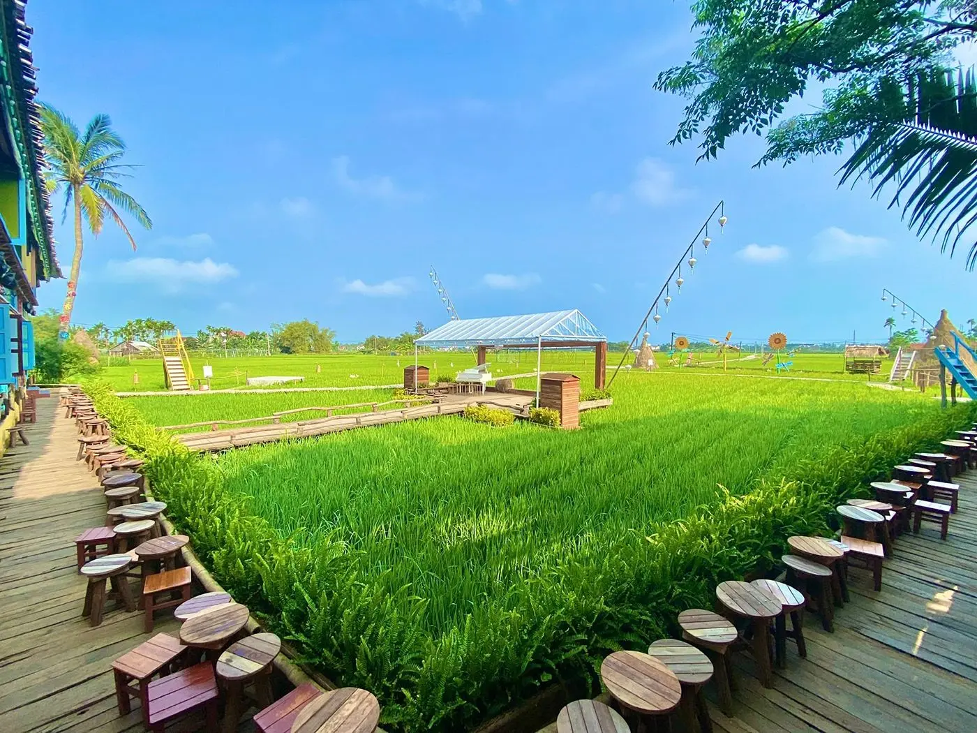 Lưu ngay 4 tiệm c&agrave; ph&ecirc; ở Hội An với view c&aacute;nh đồng đậm chất thơ 9