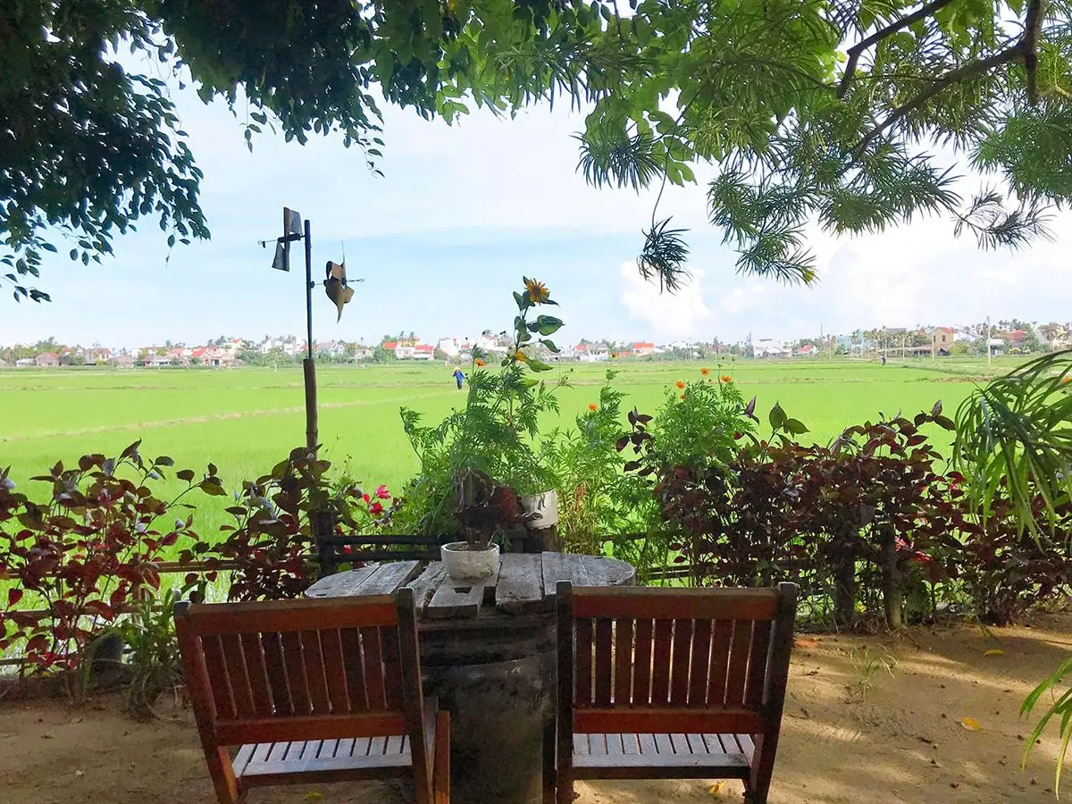 Lưu ngay 4 tiệm c&agrave; ph&ecirc; ở Hội An với view c&aacute;nh đồng đậm chất thơ 7