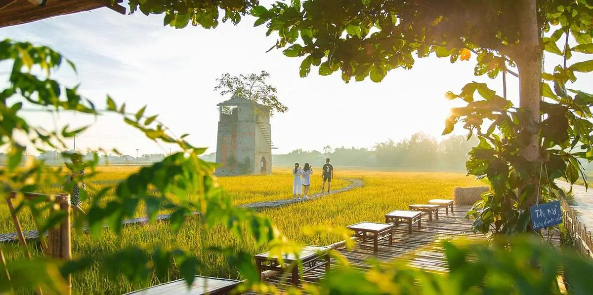 Lưu ngay 4 tiệm cà phê ở Hội An với view cánh đồng đậm chất thơ
