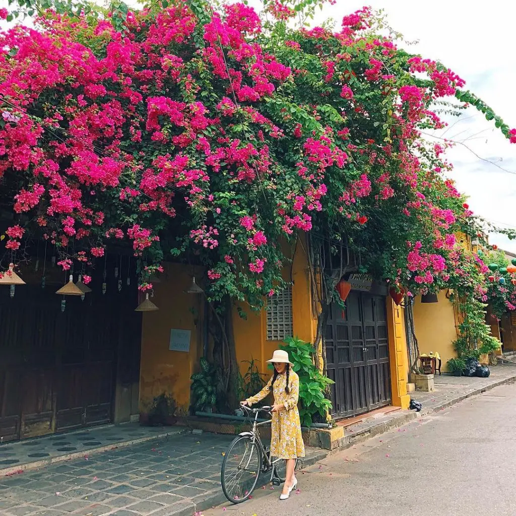 C&oacute; một Hội An đẹp cổ k&iacute;nh, l&atilde;ng mạn v&agrave; y&ecirc;n b&igrave;nh 16