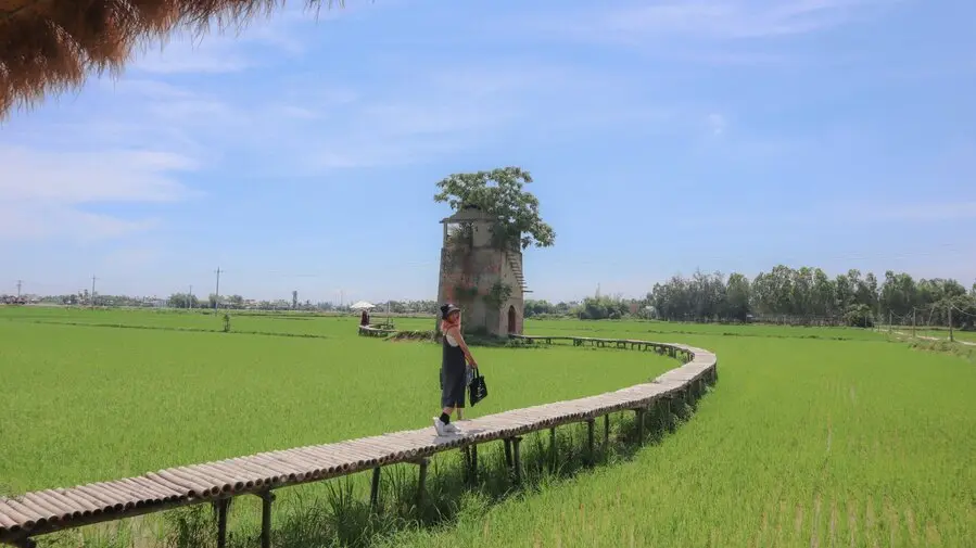 Kh&aacute;m ph&aacute; N&ocirc;ng trại L&ograve; Gạch Cũ, kh&ocirc;ng gian thanh b&igrave;nh giữa trời Quảng Nam 5