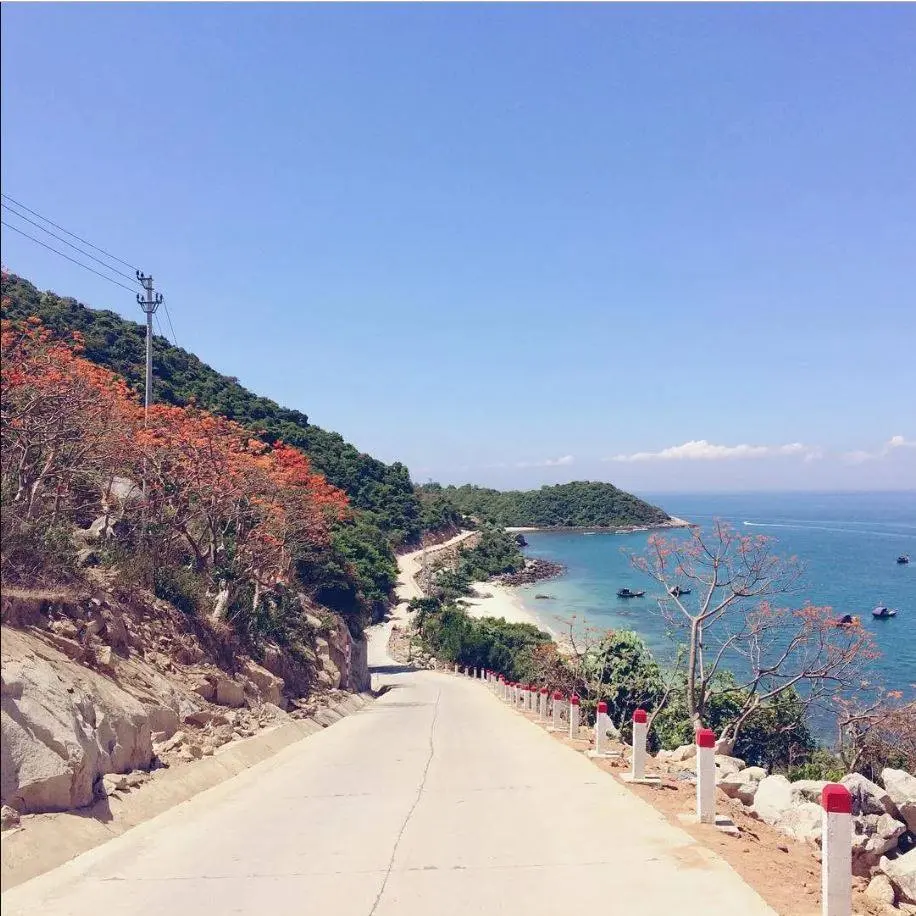 N&agrave;ng thơ C&ugrave; Lao Ch&agrave;m xinh đẹp giữa sắc hoa ng&ocirc; đồng qua loạt h&igrave;nh check-in của Trần H&agrave; Luận Thanh 2