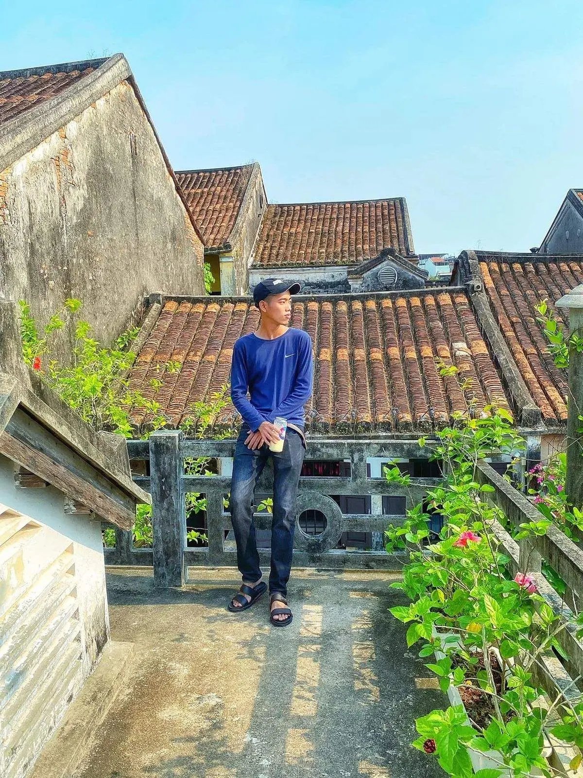 Những gi&agrave;n hoa sử qu&acirc;n tử ở Hội An, vẻ đẹp rực rỡ đầy l&atilde;ng mạn 2