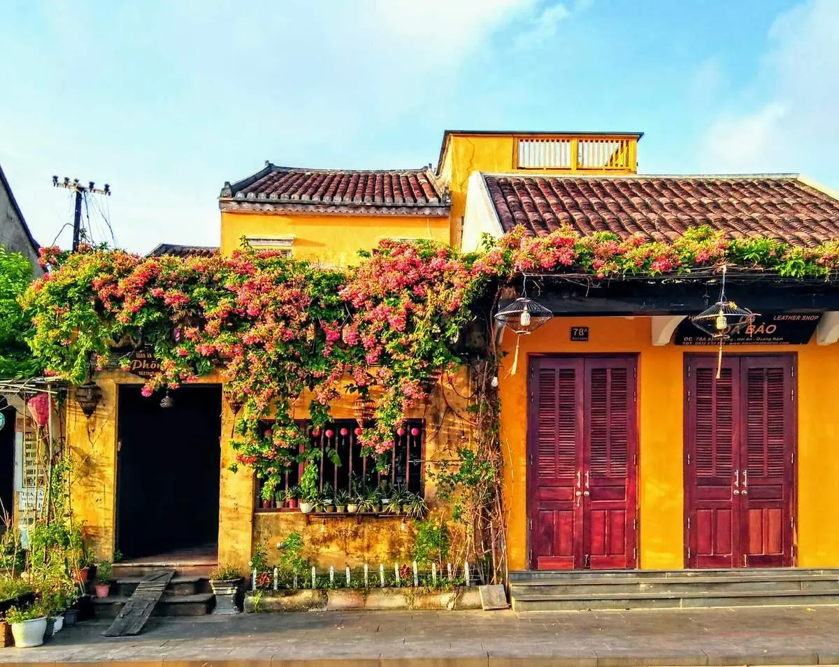Những gi&agrave;n hoa sử qu&acirc;n tử ở Hội An, vẻ đẹp rực rỡ đầy l&atilde;ng mạn 6