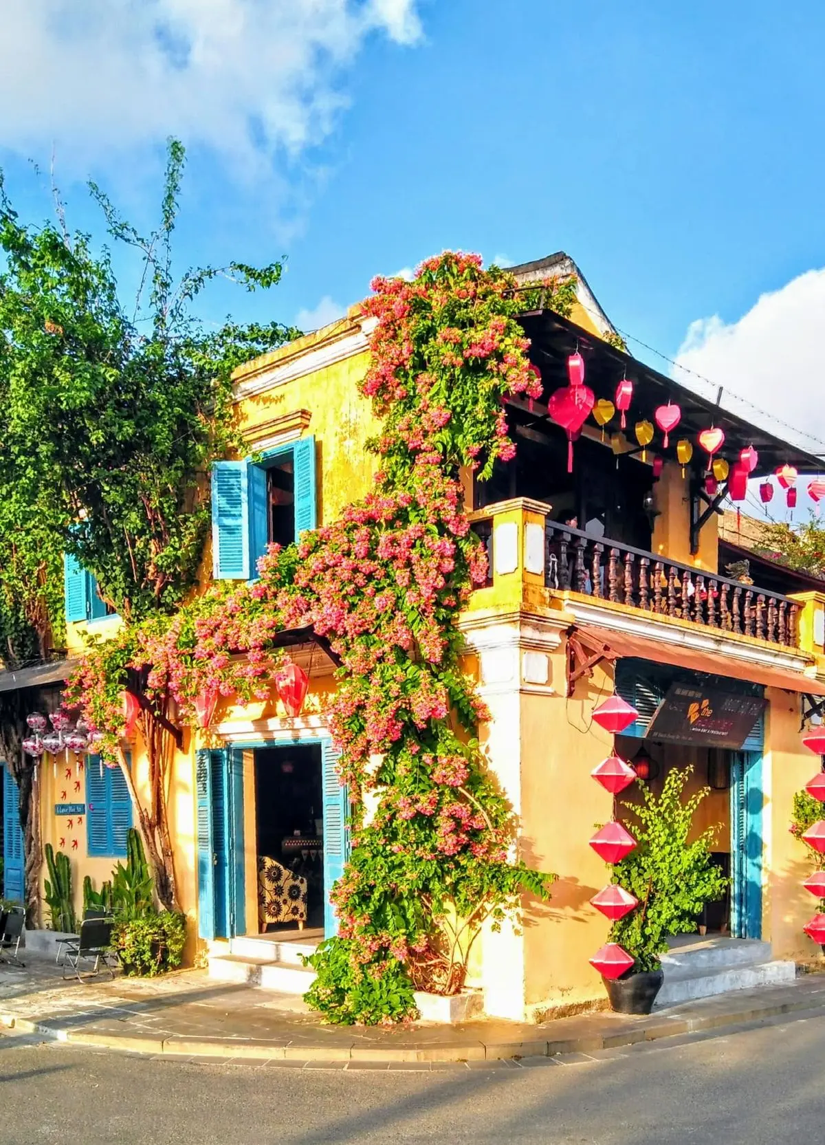 Những gi&agrave;n hoa sử qu&acirc;n tử ở Hội An, vẻ đẹp rực rỡ đầy l&atilde;ng mạn 4