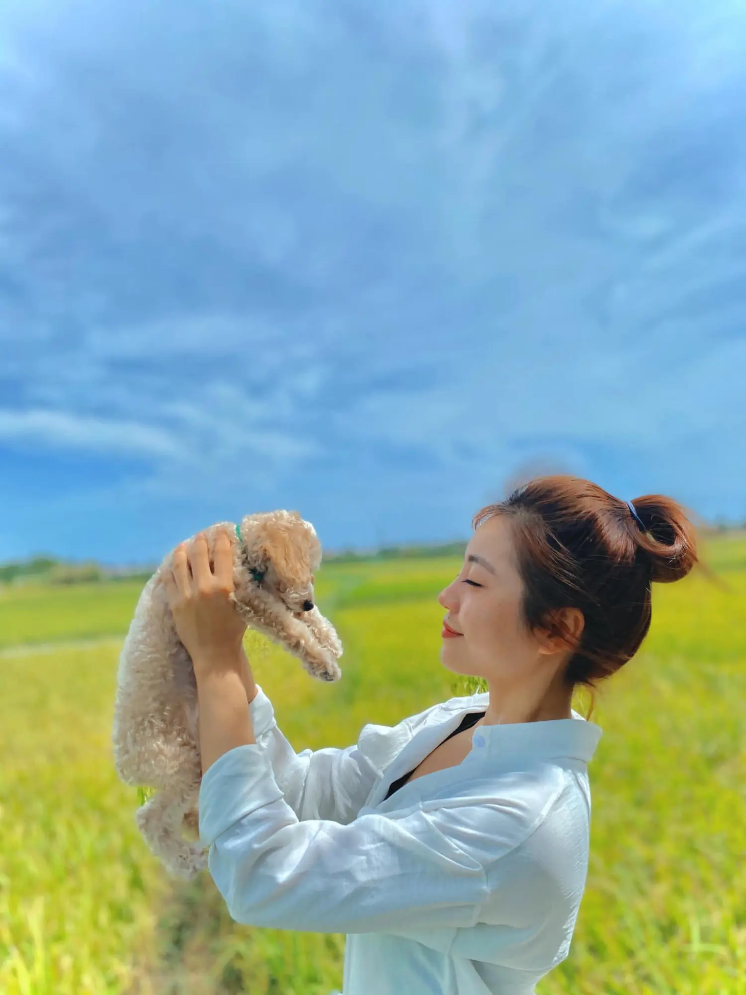 Roving Chillhouse - Lạc lối giữa c&aacute;nh đồng l&uacute;a thơ mộng của Hội An c&ugrave;ng 9x Đỗ Phương 12