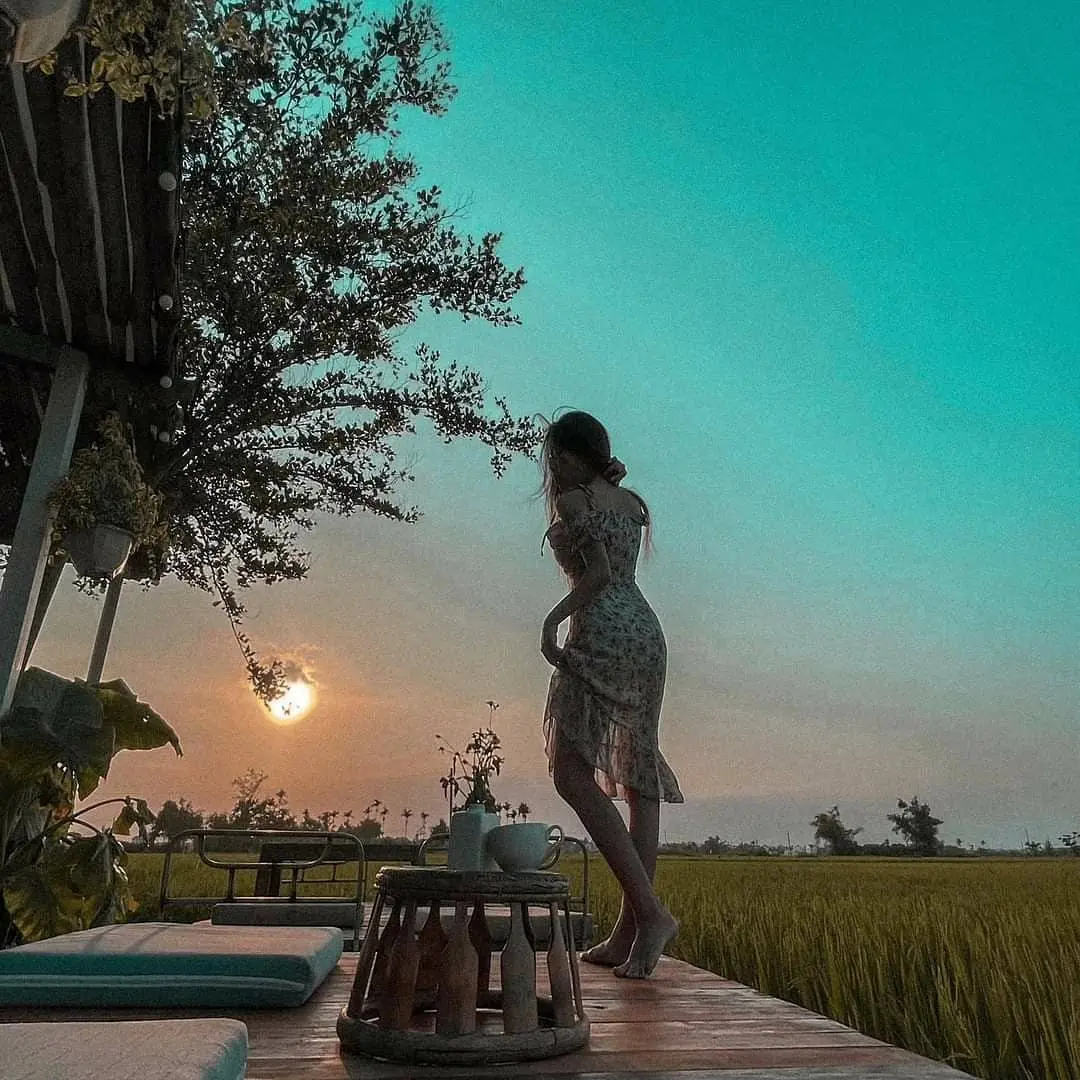 Roving Chillhouse - Lạc lối giữa c&aacute;nh đồng l&uacute;a thơ mộng của Hội An c&ugrave;ng 9x Đỗ Phương 5