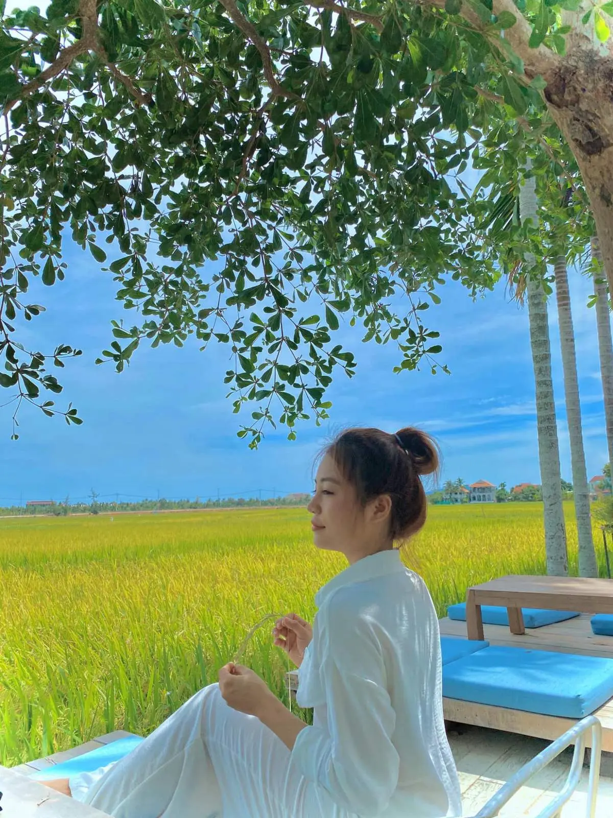 Roving Chillhouse - Lạc lối giữa c&aacute;nh đồng l&uacute;a thơ mộng của Hội An c&ugrave;ng 9x Đỗ Phương 9