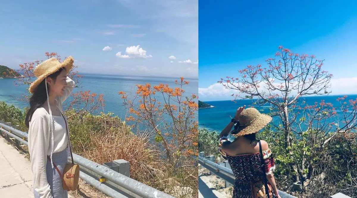 Nàng thơ Cù Lao Chàm xinh đẹp giữa sắc hoa ngô đồng qua loạt hình check-in của Trần Hà Luận Thanh