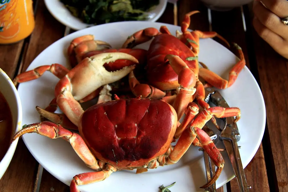 Một ng&agrave;y h&oacute;a th&acirc;n th&agrave;nh người con của biển cả v&agrave; lặn ngắm san h&ocirc; tại C&ugrave; Lao Ch&agrave;m 21