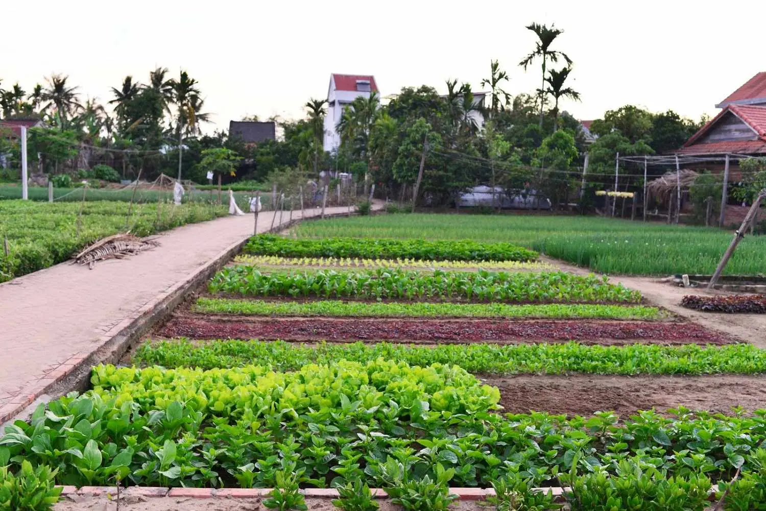 Lịch tr&igrave;nh nửa ng&agrave;y kh&aacute;m ph&aacute; Hội An với những trải nghiệm mới toanh 12