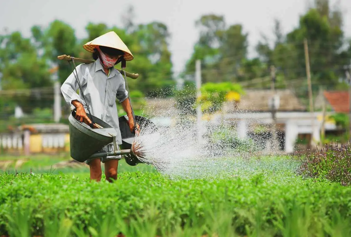Lịch tr&igrave;nh nửa ng&agrave;y kh&aacute;m ph&aacute; Hội An với những trải nghiệm mới toanh 13
