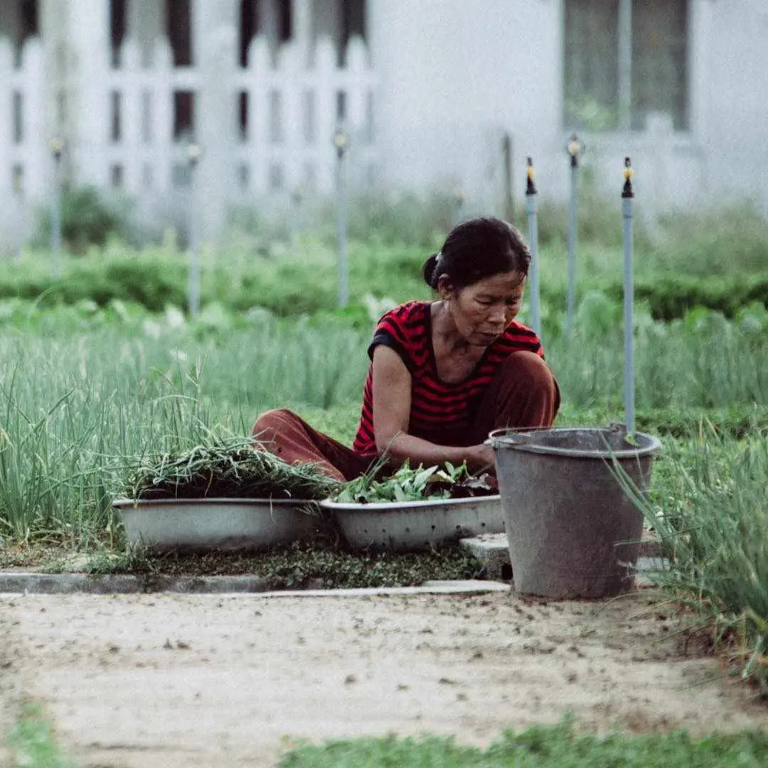 Lịch tr&igrave;nh nửa ng&agrave;y kh&aacute;m ph&aacute; Hội An với những trải nghiệm mới toanh 15