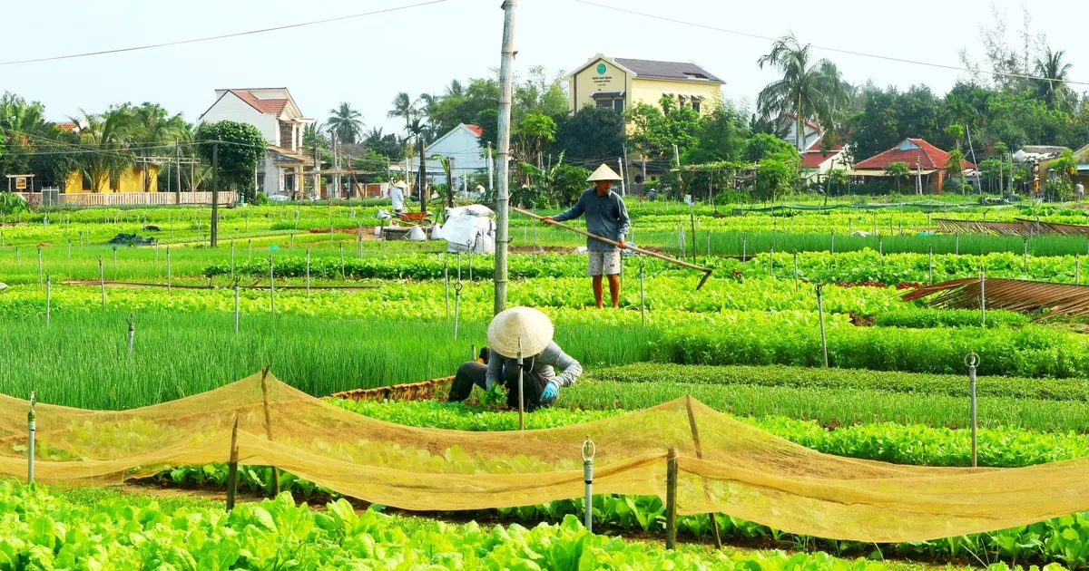 Mách bạn lịch trình tham quan Ngũ Hành Sơn Hội An 1 ngày đầy lý thú 12