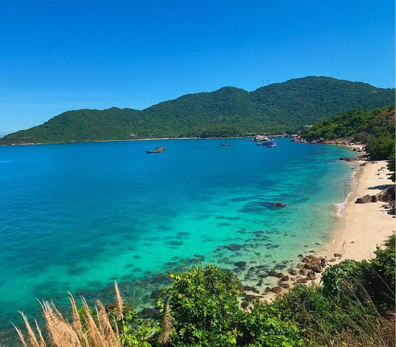 Gợi ý Lịch trình Tour Cù Lao Chàm 1 ngày lý tưởng nhất