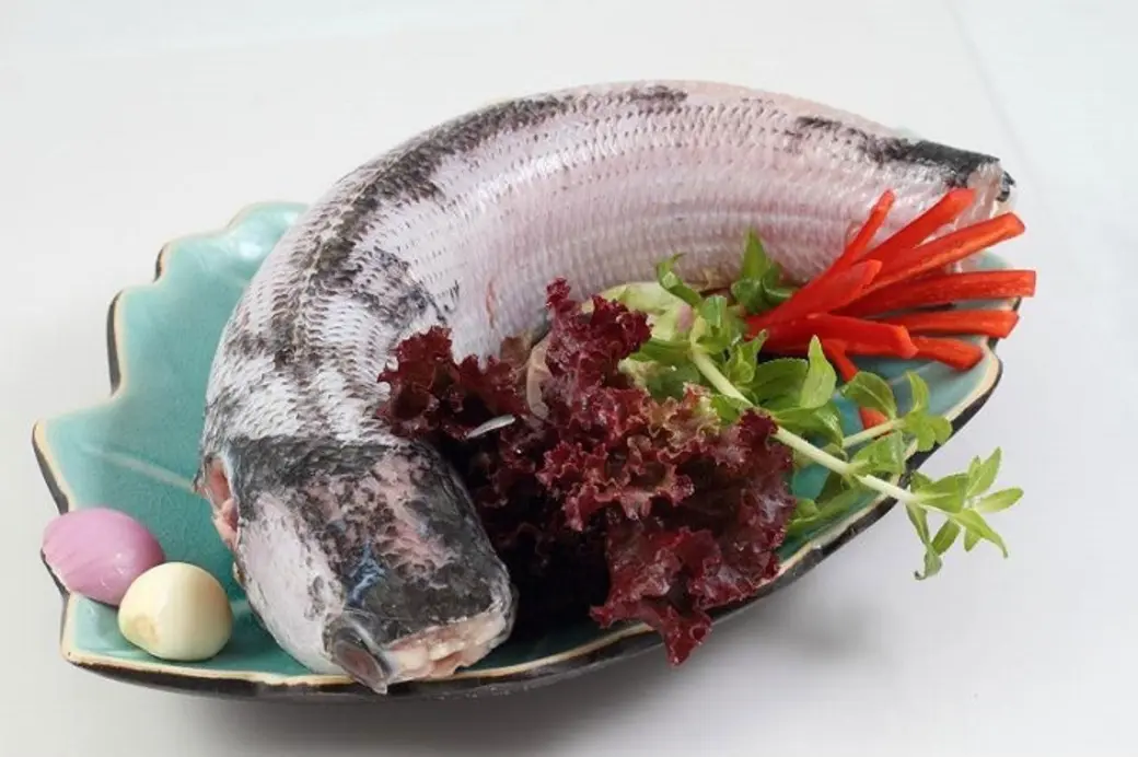 B&aacute;nh canh c&aacute; l&oacute;c &ndash; M&oacute;n ăn d&acirc;n d&atilde; kh&ocirc;ng thể thiếu của người d&acirc;n xứ Huế 5