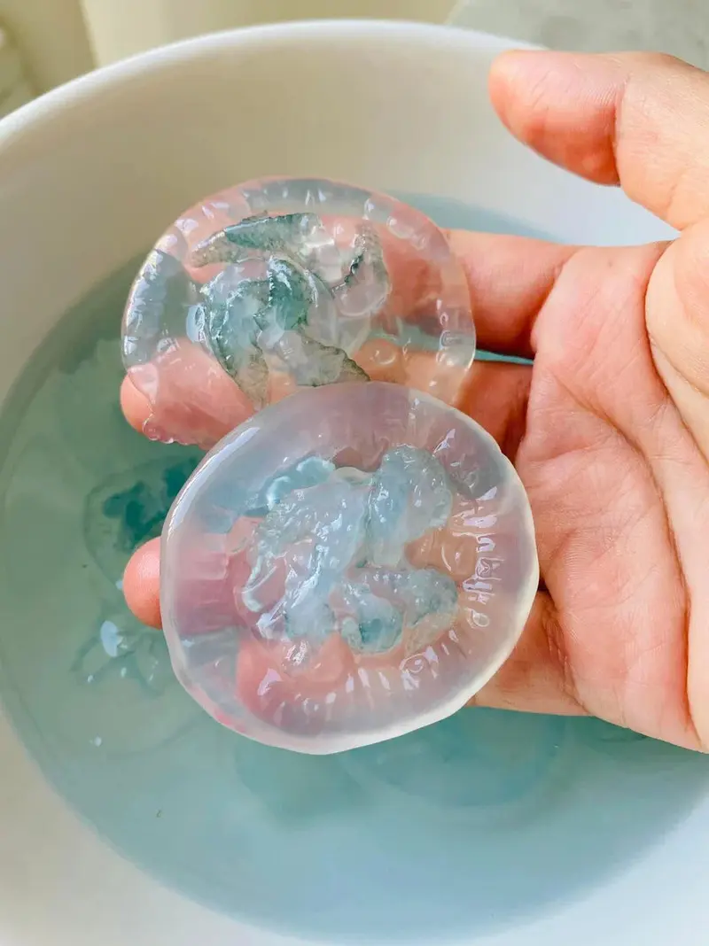 Con nuốc Huế m&oacute;n đặc sản thanh m&aacute;t giải nhiệt ng&agrave;y h&egrave; xứ Huế 4