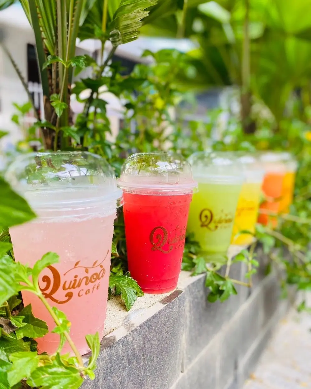 Dịch kh&ocirc;ng vi vu nước ngo&agrave;i được th&igrave; gh&eacute; Quinoa Caf&eacute; để c&oacute; ảnh check-in như ở trời T&acirc;y 4