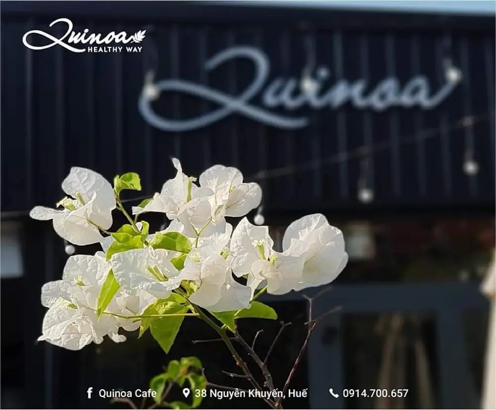 Dịch kh&ocirc;ng vi vu nước ngo&agrave;i được th&igrave; gh&eacute; Quinoa Caf&eacute; để c&oacute; ảnh check-in như ở trời T&acirc;y 2