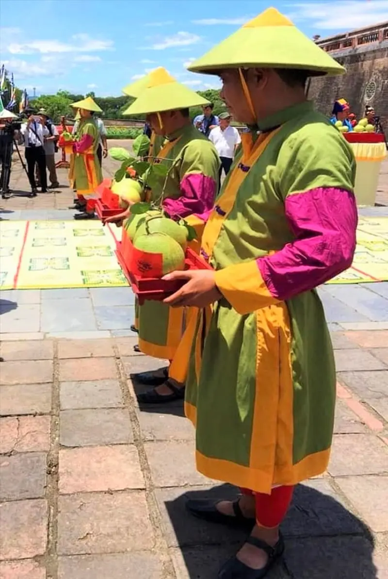 Quả thanh trà Huế: Đặc sản thanh mát mang hương vị sông Hương 3