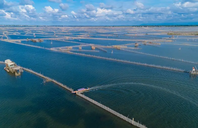 Đầm Cầu Hai - Tuyệt t&aacute;c thi&ecirc;n nhi&ecirc;n của v&ugrave;ng đất cố đ&ocirc; 2